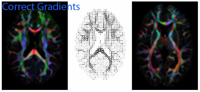 Correct gradients